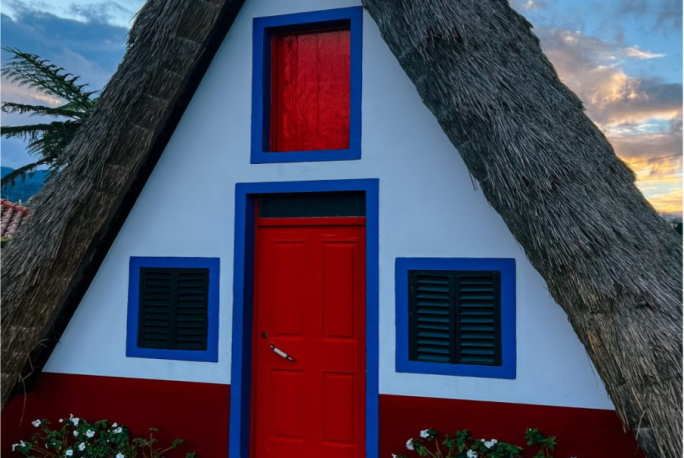 Madera Dzień 2 - spotkanie z natura