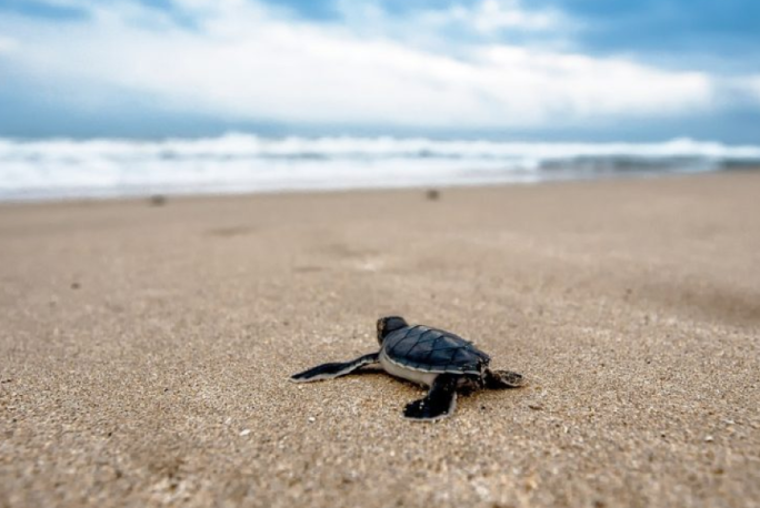 Sri Lanka - dzień 7